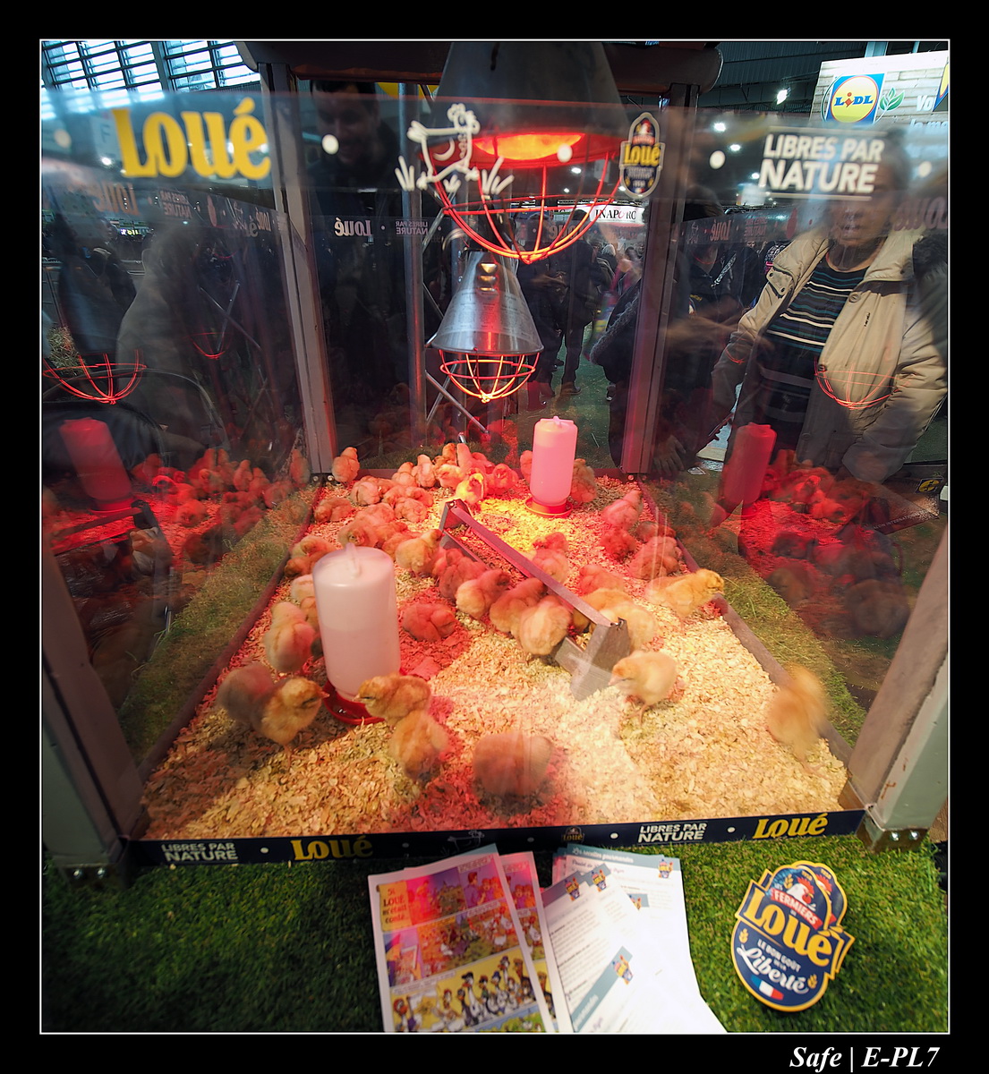 2020 - 02 - Salon agriculture 65